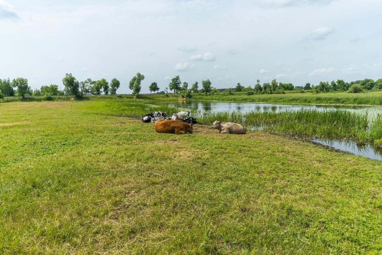 Agroturystyka Carski Trakt Візна Екстер'єр фото