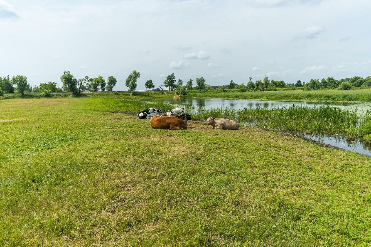 Agroturystyka Carski Trakt Візна Екстер'єр фото